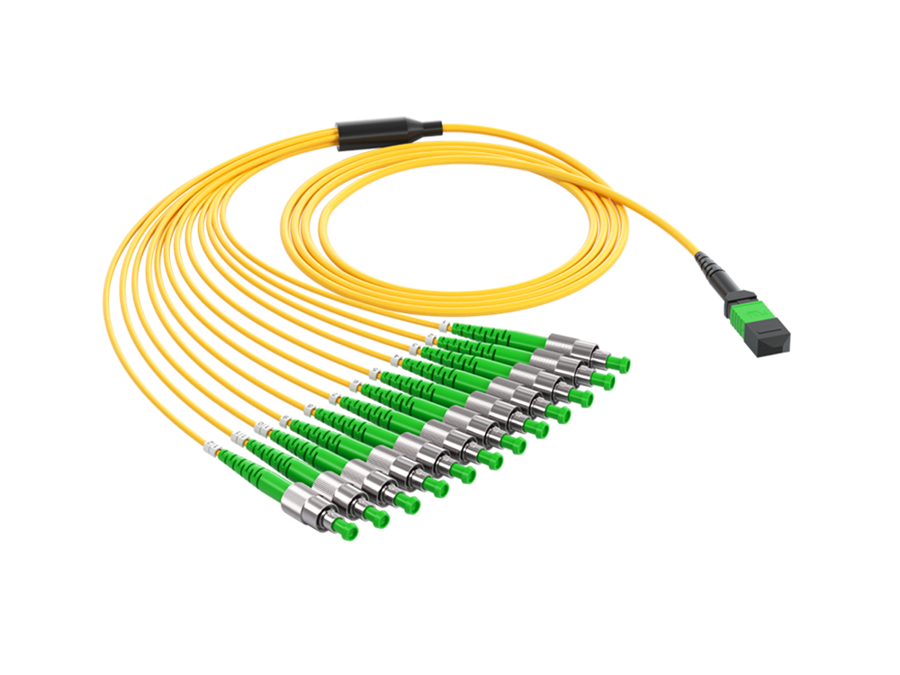 12-Fiber MPO-FC PM Patch Cord